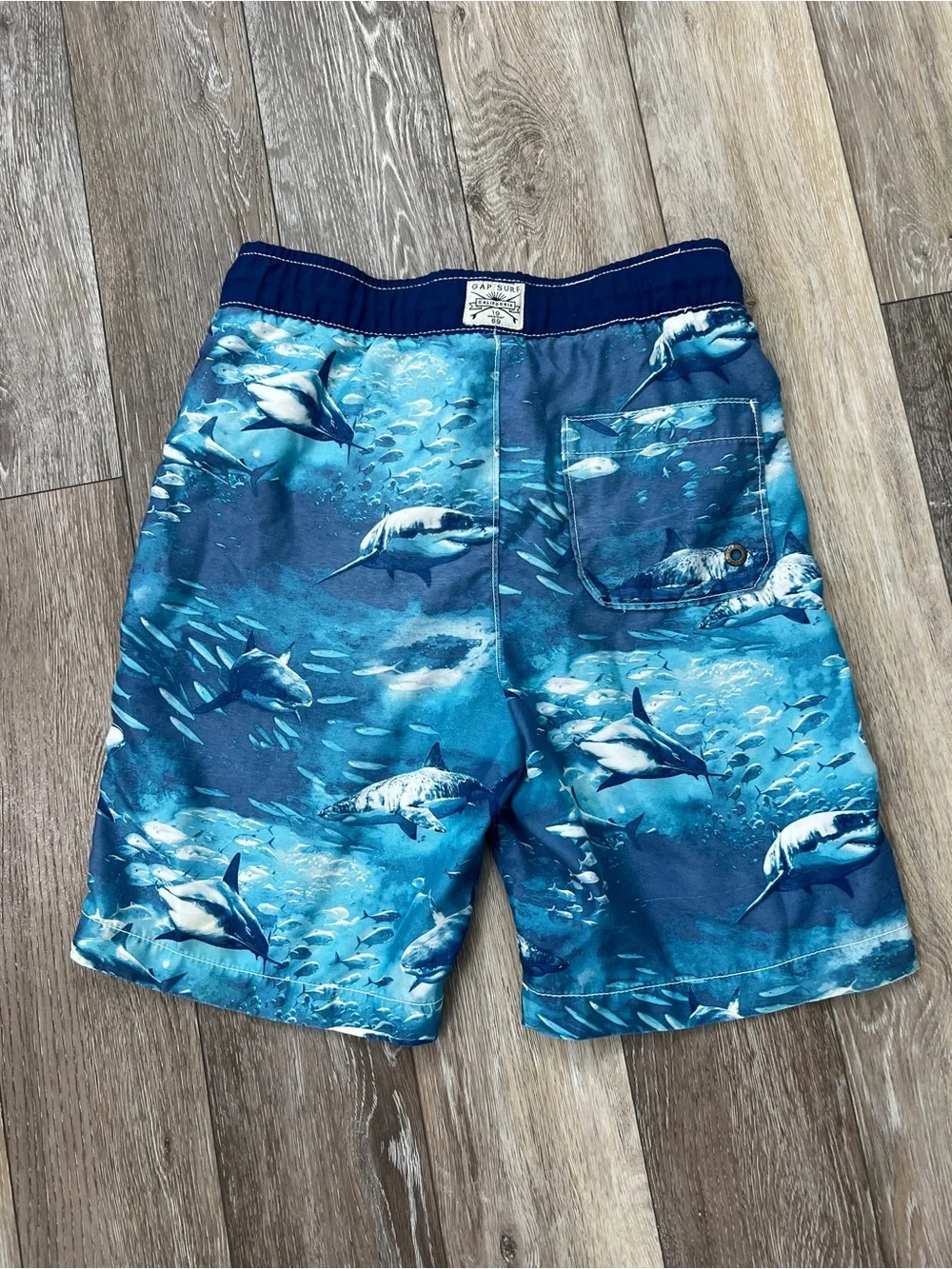Gap kids boy shark swim trucks